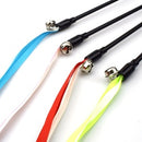 PAWS ASIA Factory PVC Material Popular Interesting Safe Pet Cat Interactive Bell Toy