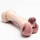 PAWS ASIA Suppliers Rubber Simulation Bone Interesting Nosework Look Real Squeaky Dog Toys