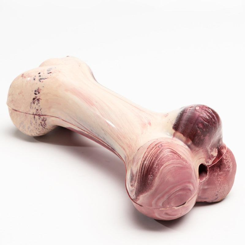 PAWS ASIA Suppliers Rubber Simulation Bone Interesting Nosework Look Real Squeaky Dog Toys