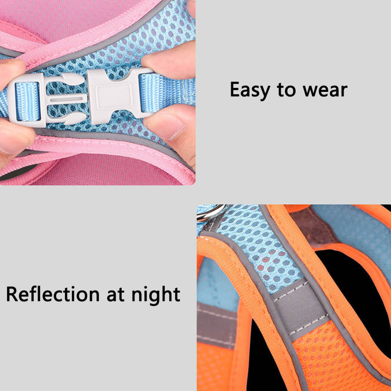 PAWS ASIA Supplier Breathable Mesh Reflective Luxury Adjustable Cute Dog Harness And Leash Set