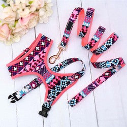 PAWS ASIA Factory High Quality Cute Colored Fancy Vest Puppy Dog Harness And Leash Set