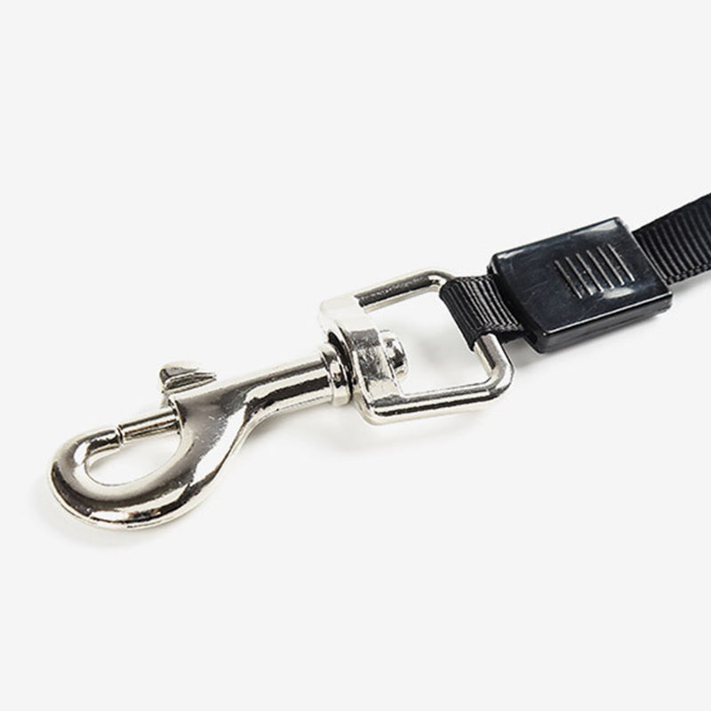 PAWS ASIA China Factory Low Moq Best Selling Nylon Portable Multi Function Retractable Dog Leash