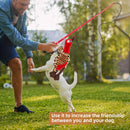 PAWS ASIA Manufacturers Outside Interactive Retractable Training Hunting Funny Stuffed Dog Toys Wand