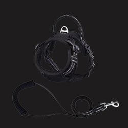 PAWS ASIA Factory Breathable Mesh Reflective Luxury Dog Leash Harness Vest With Handle