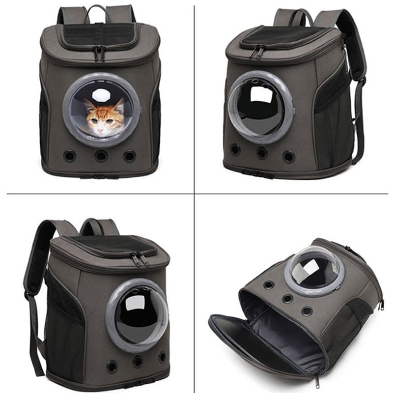 PAWS ASIA Suppliers Luxury Outdoor Portable Foldable Bike Pet Carrier BackPack Cat Travel Space Bag Dog