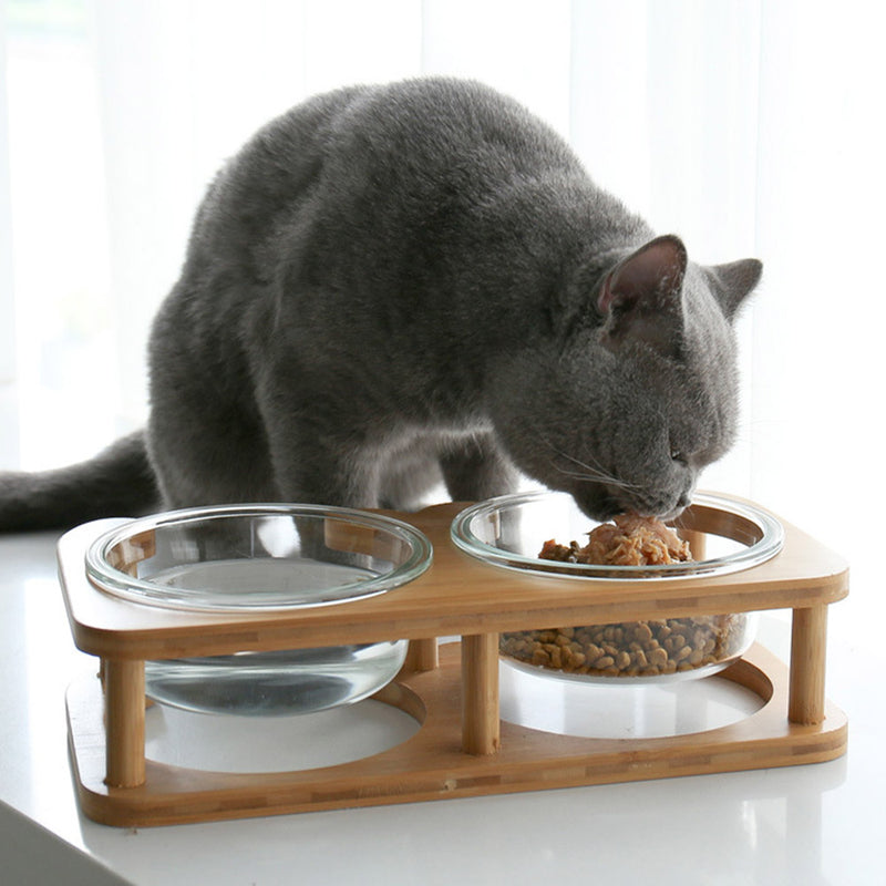 PAWS ASIA Factory Elevated Protect Cervical Clear Water Glass Dog Bowl With Bamboo Cat Feed