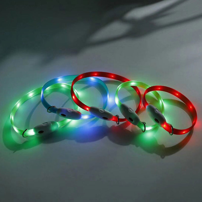 PAWS ASIA Manufacturer High Quality Night Outdoor Activity Bling Dog Charm Collar