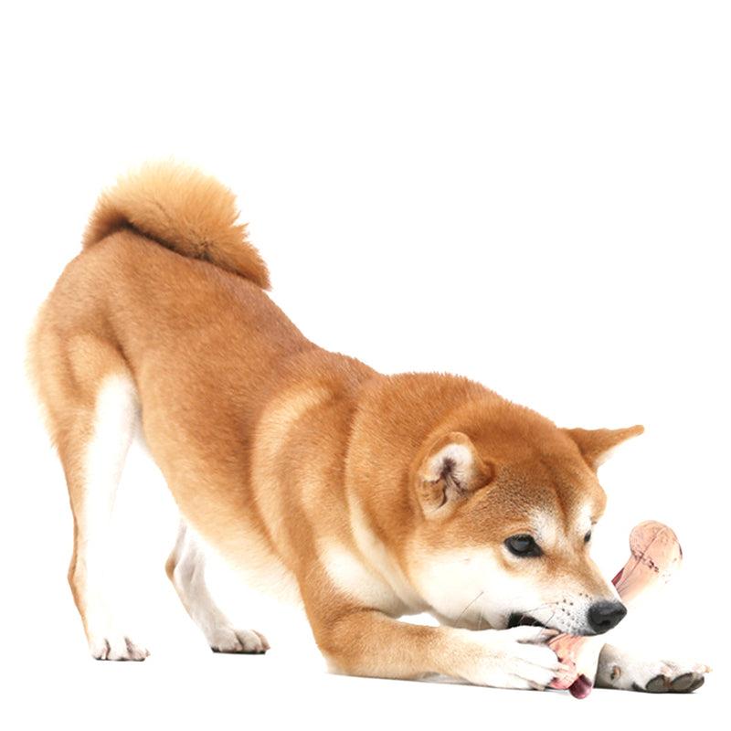 PAWS ASIA Suppliers Rubber Simulation Bone Interesting Nosework Look Real Squeaky Dog Toys