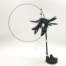 PAWS ASIA Manufacturers Steel Wire Interactive Suction Cup Long Stick Cat Toy With Feather