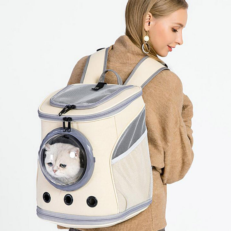 PAWS ASIA Suppliers Luxury Outdoor Portable Foldable Bike Pet Carrier BackPack Cat Travel Space Bag Dog