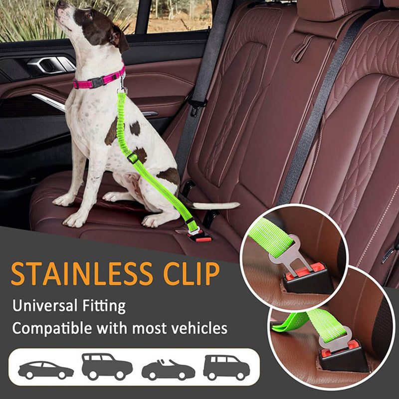 PAWS ASIA Manufacturers Quality Reflectively Nylon Stretchy Retractable Car Dog Leash Rope