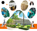 PAWS ASIA Factory Dropshipping Best Seller Luminous Anti Loss Flashing Pet Collar Pendant