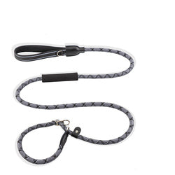 PAWS ASIA Suppliers 2 in 1 Nylon Reflective Training Strong Heavy Duty Dog Collar And Leash
