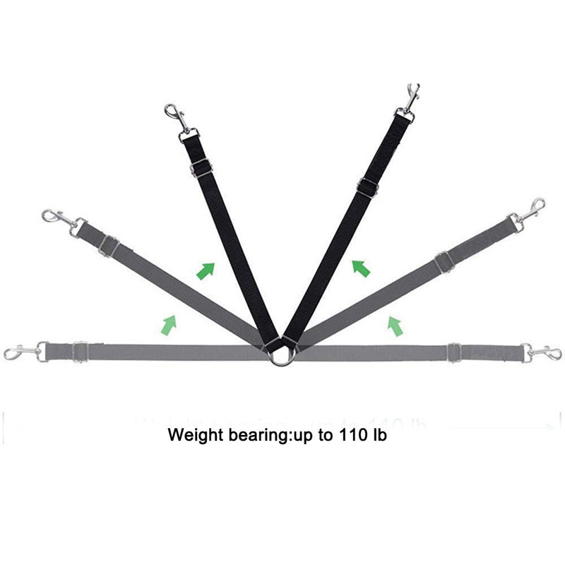 PAWS ASIA Wholesale Black Nylon Adjustable Training Double Hooks Dog Leash For Small Dog