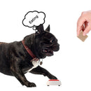 PAWS ASIA Manufacturers Interactive Pet Talking Communication Recording Button Dog Toys