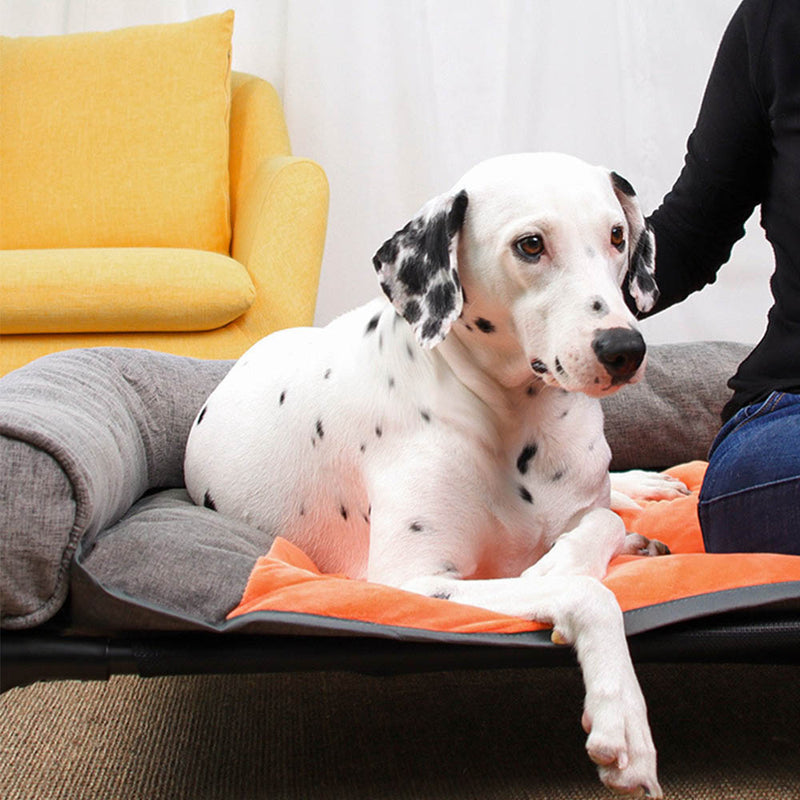 PAWS ASIA Factory Steel Framed Outdoor Travel Anti Slip Washable Elevated Camp Cooling Dog Bed Pet Cot