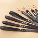 PAWS ASIA Wholesale Custom Pet Luxury Fashion Leather Large Dog Collars And Leash