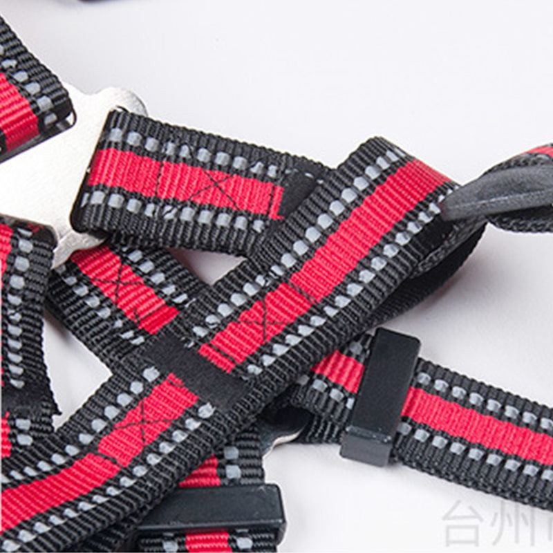PAWS ASIA Factory Custom Adjustable Polyester Harness Reflective Set Dog Leash