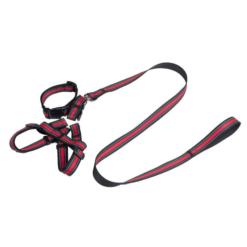 PAWS ASIA Factory Custom Adjustable Polyester Harness Reflective Set Dog Leash