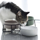 PAWS ASIA Manufacturers Ceramic Protect Cervical Double Elevated Cat Bowl Sets Dog Feeding