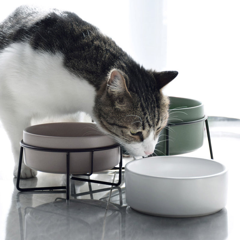 PAWS ASIA Manufacturers Ceramic Protect Cervical Double Elevated Cat Bowl Sets Dog Feeding