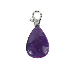 PAWS ASIA Manufacturer Direct Sale Rechargeable Night Safety Colorful LED Pendant Pet Collar Charms