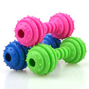 PAWS ASIA OEM Latest Tough Dog Toys TPR Plastic Grind Teeth Aggressive Chewer Pet Toys