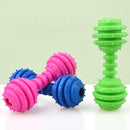 PAWS ASIA OEM Latest Tough Dog Toys TPR Plastic Grind Teeth Aggressive Chewer Pet Toys