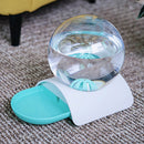 PAWS ASIA Factory New Eco Friendly Plastic Transparent Automatic Dog Water Bowl Cat Dispenser 2.8L