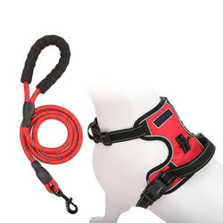 PAWS ASIA Wholesale Luxury Reflective Dog Leash Vest Harness Set With Easy Control Handle