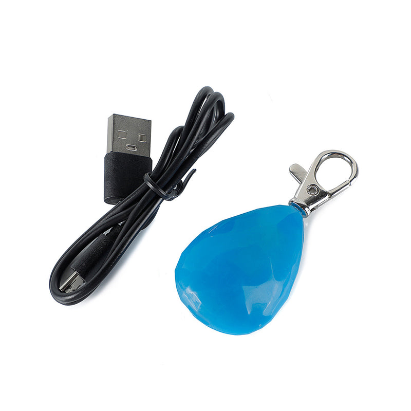 PAWS ASIA Manufacturer Direct Sale Rechargeable Night Safety Colorful LED Pendant Pet Collar Charms