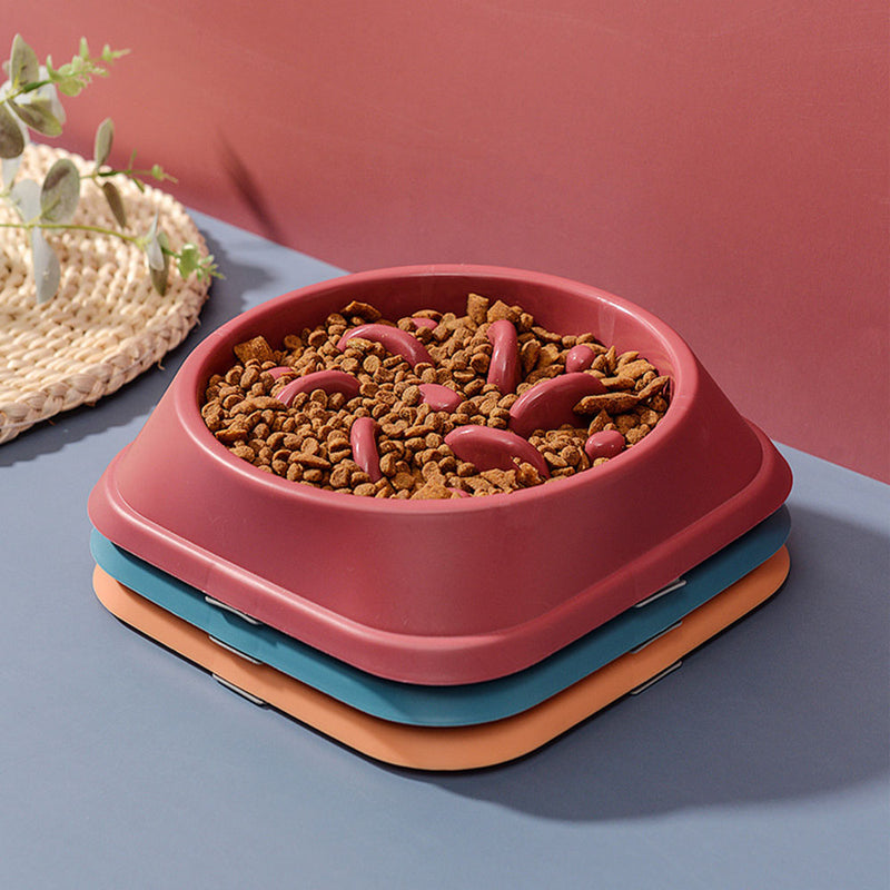 PAWS ASIA AliExpress Popular Portable PP Plastic Slow Eating Non Slip Dog And Cat Bowls5
