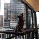 PAWS ASIA Manufacturer Direct Sale Pet Square Window Hammock Suction Cups Cat Bed Wall Mounted