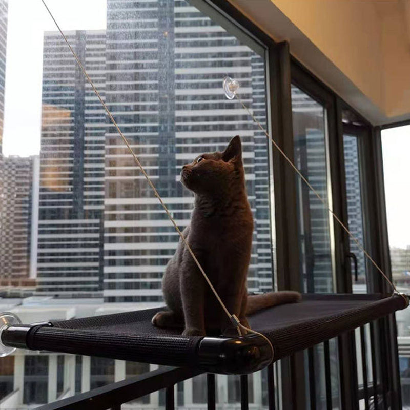 PAWS ASIA Manufacturer Direct Sale Pet Square Window Hammock Suction Cups Cat Bed Wall Mounted
