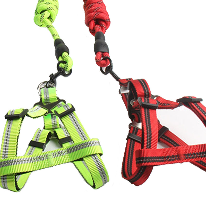PAWS ASIA Lazada Hot Popular Nylon Safety Training Personalized Comfort Vest With Dog Leash Rope