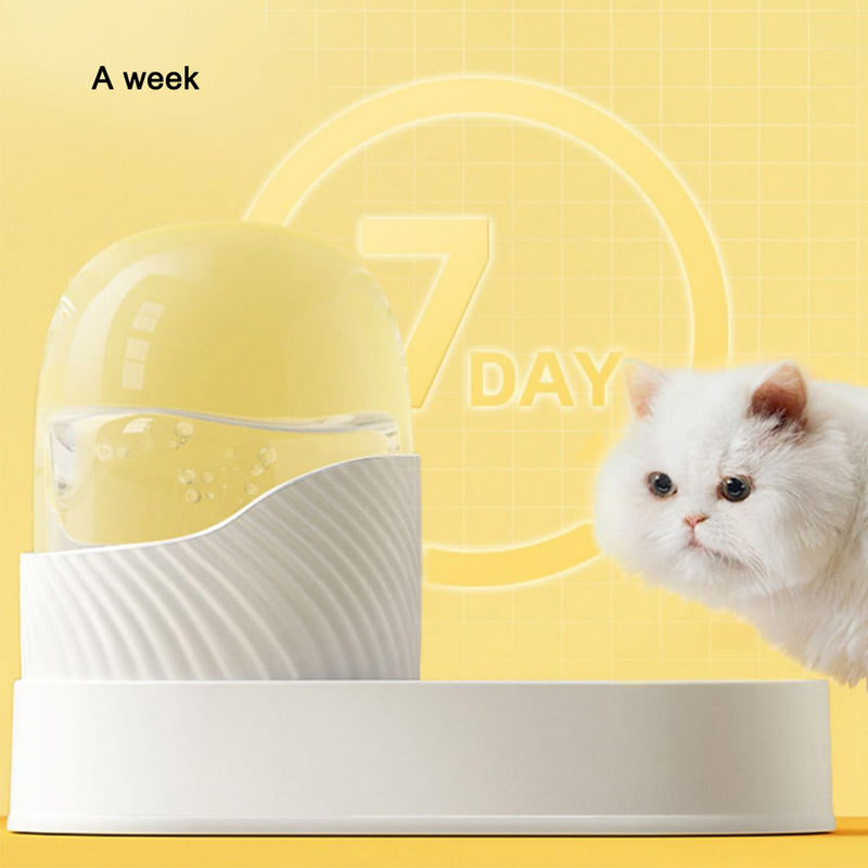 PAWS ASIA Wholesale New Luxury Automatic Plastic Food And Water Self Filling Double Dog Bowl Cat Set