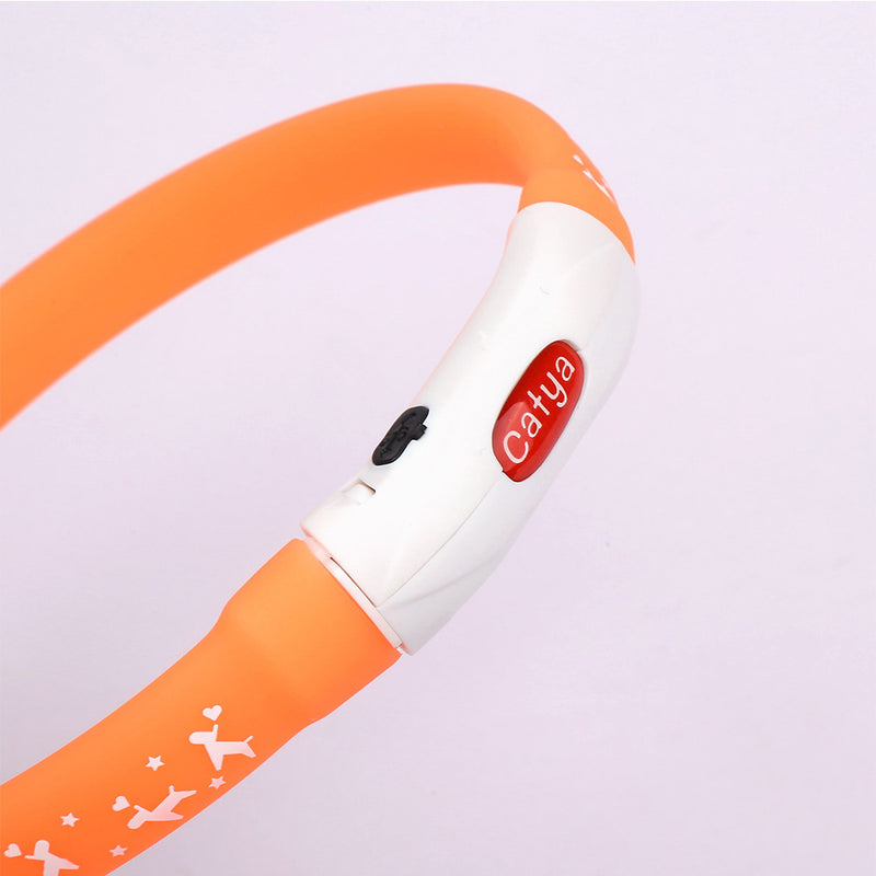 PAWS ASIA Factory Customized Novel Shiny Printed Rechargeable Cat Neck Collar Dog