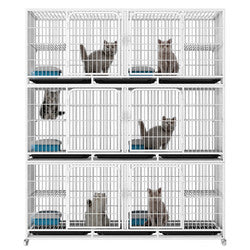 PAWS ASIA China Manufacturers Galvanized Steel Pipe Enclosures Large Commercial Pet Breeding Cat Cage 3 Layer