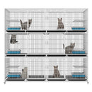 PAWS ASIA China Manufacturers Galvanized Steel Pipe Enclosures Large Commercial Pet Breeding Cat Cage 3 Layer