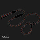 PAWS ASIA Suppliers 2 in 1 Nylon Reflective Training Strong Heavy Duty Dog Collar And Leash