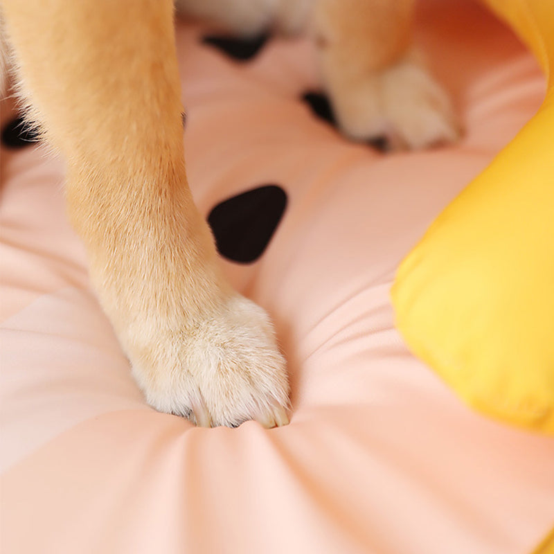 PAWS ASIA Manufacturers New Large Washable Waterproof Cool Sofa Cat Bed Dog With Pillow