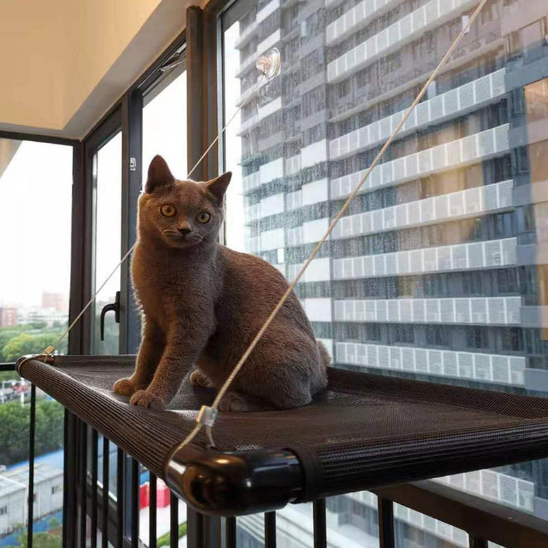 PAWS ASIA Manufacturer Wall Mounted Suction Cups Square Cat Bed Window Hammock