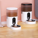 PAWS ASIA Manufacturers TPC Plastic 4L 6L Automatic Smart Pet Feeder Wifi Cat Dog