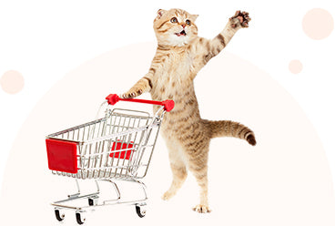 PAWS ASIA Factory PVC Material Popular Interesting Safe Pet Cat Interactive Bell Toy