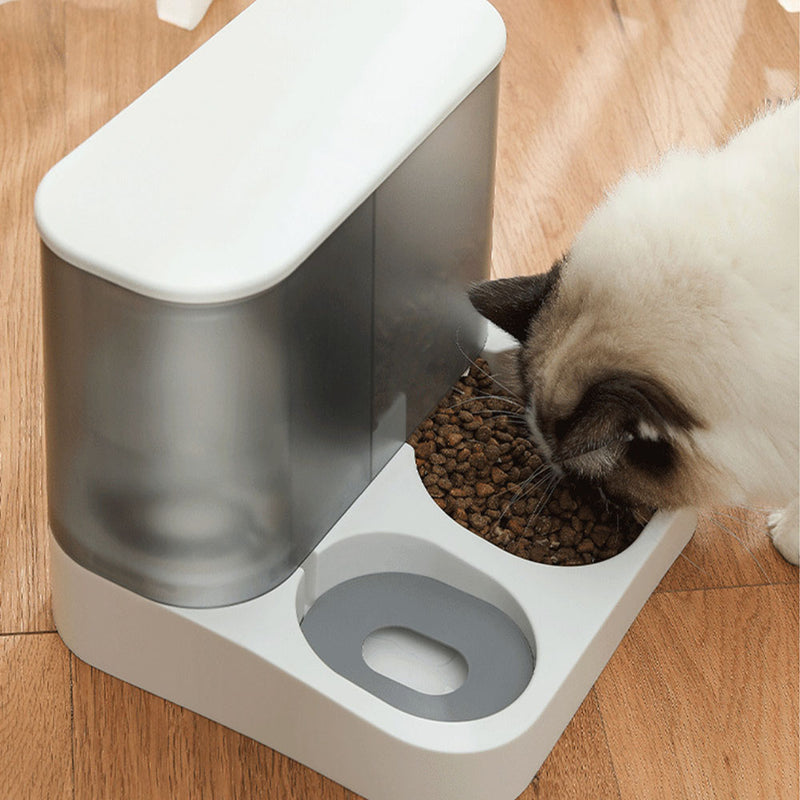 PAWS ASIA Suppliers New Storage Food Water Container Automatic Feeder Transparent Dog Bowl Cat