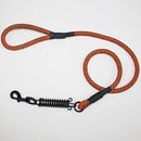 PAWS ASIA Wish Hot Sales New Style Fashion Reflective Big Dog Leash With Spring