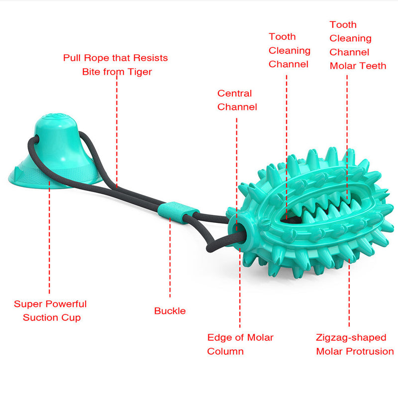 PAWS ASIA Factory Interactive Teeth Cleaning Molar Improve IQ Pulling Suction Cup Dog Toy