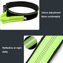 PAWS ASIA Suppliers Nylon Luxury Personalized Modern Novel Design Reflective Large Pets Dog Collar