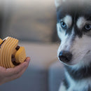 PAWS ASIA Suppliers Pet Outdoor Training Rubber Ball Interactive Feeding Treat Dog Toys Chew