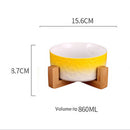 PAWS ASIA Amazon New High Quality Luxury Modern Elevated Designed Unique Ceramic Cat Bowl Dog With Wood Stand